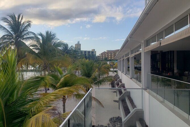 A "Private" Airport Transfer to any Resort in Ocho Rios - Meeting at Sangster’s Intl Airport: Flight Tracking That Matters