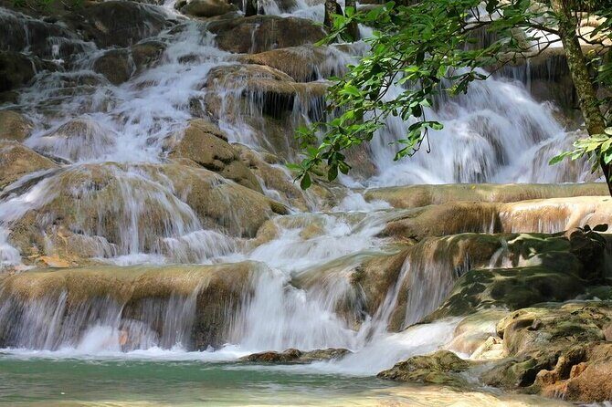 Aqua Fun Tours Dunns Falls, River Tubing and Horse Back - White River Tubing: Coconut Shade, Gentle Rapids, and Four Canine Helpers
