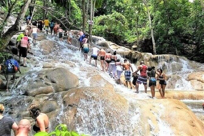 Aqua Fun Tours Dunns Falls, River Tubing and Horse Back - What to Bring and How to Set Yourself Up for Success