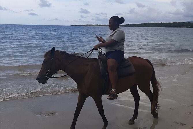Aqua Fun Tours Dunns Falls, River Tubing and Horse Back - Who This Tour Fits Best (and Who Should Skip It)