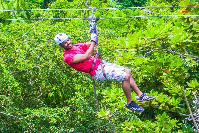 ATV, Horseback Ride, Zipline, Falls Climb + Lunch from Ocho Rios - Horseback Ride ’N’ Swim: an animal encounter with real water