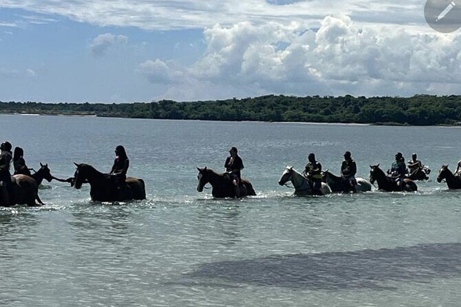 Bamboo Rafting and HorseBack Riding Excursion in OchoRios Jamaica - Key Things I’d Focus on Before Booking