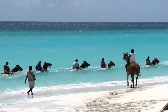 Blue Hole and Horseback Riding and Shopping - Blue Hole Falls Swim: What You’re Really Signing Up For