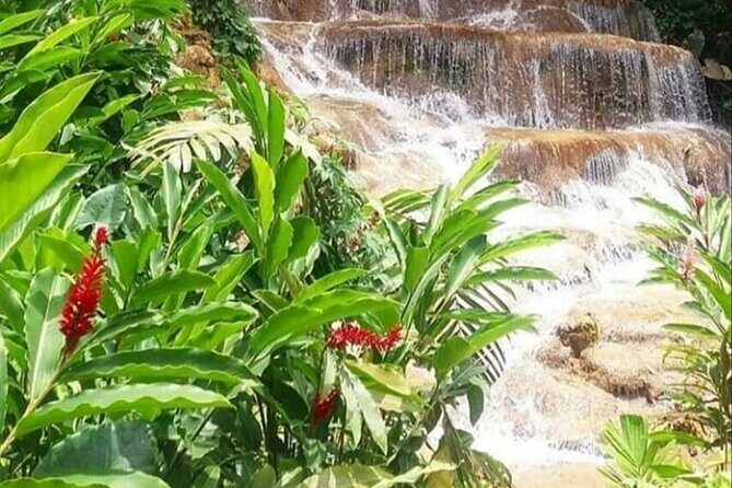 Blue Hole And Konoko Falls Combo Tour From Ocho Rios & Runaway Bay! - Small Group, Real Flexibility, and Why It Matters