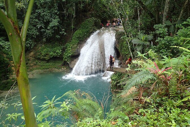 Blue Hole and River Tubing Combo Tour from Ocho Rios - Fern Gully and the optional craft-vendor stop