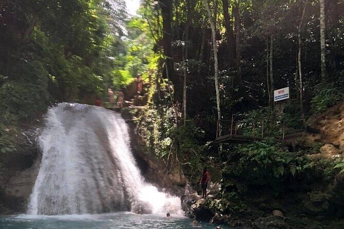 Blue Hole And White River Tubing from Ocho Rios & Runaway Bay - Blue Hole in Ocho Rios: jumps, rope swing, and a real guide