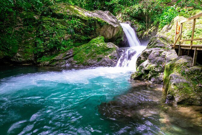 Blue Mountain Highlights - Scenic drive up from Ocho Rios to the Blue Mountain Tours start point