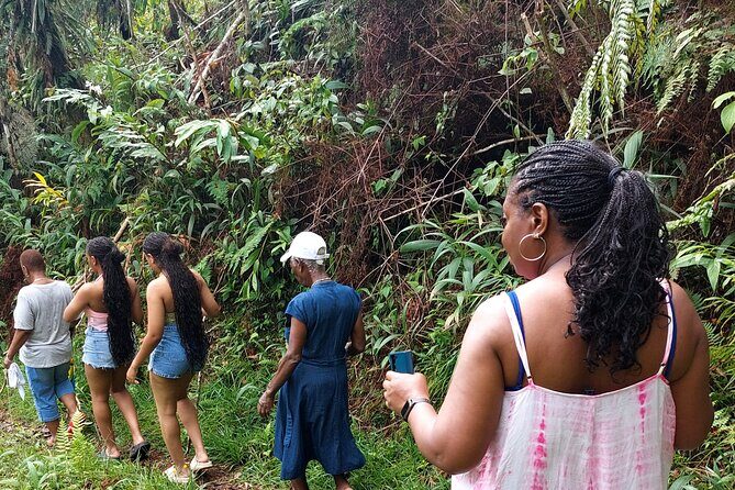 Blue Mountain Sight-Seeing & Nature Trail Hike with Private Guide - Key things you’ll notice on this Blue Mountains hike