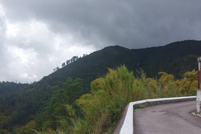 Blue Mountain Sight-Seeing & Nature Trail Hike with Private Guide - Private guide value: Omar’s role in making it make sense