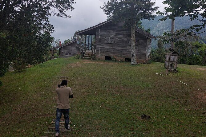 Blue Mountain Sight-Seeing & Nature Trail Hike with Private Guide - What kind of traveler should book this Blue Mountains hike?