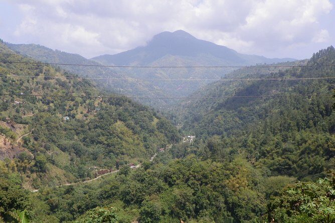 Blue Mountain Tour with Hotel Transportation - Key things to know before you go