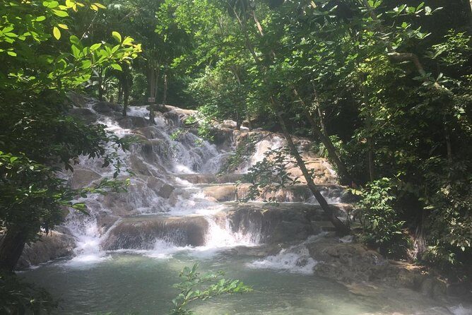 Bob Marley Nine Mile and Dunns River Combo from Ocho Rios - The jerk food stop: a taste of Jamaica in the middle of the day