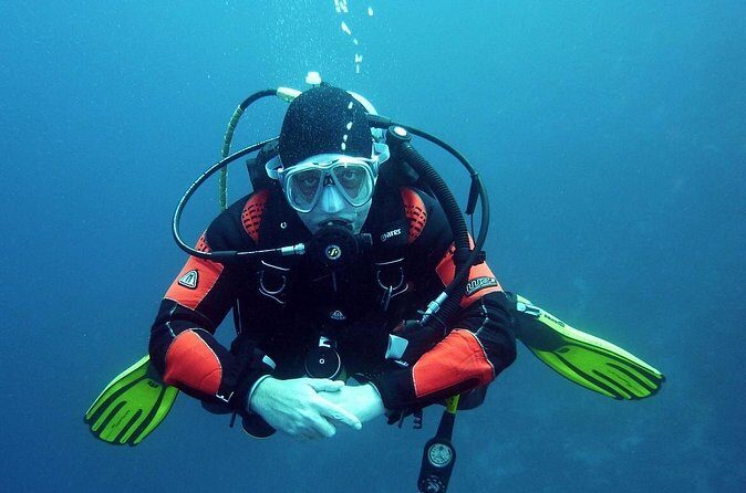 Discover Scuba Diving From Ocho Rios - Marine life encounters: what you can realistically expect