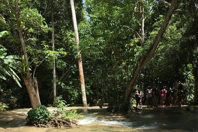 Dunn's River and Blue Hole Tour from Ocho Rios - Blue Hole Swim: Refreshing Water Time Without the Fuss