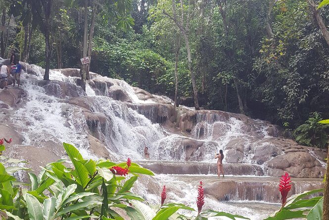 Dunn's River Falls and Beach From Ocho Rios Jamaica - Price and Value: Is $58 a Good Deal?