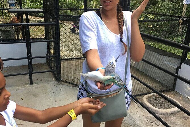 Eco Explorers Waterfall, Rainforest, local Shopping with lunch - Courtney Taylor stop and the quick bite that doubles as a local food moment