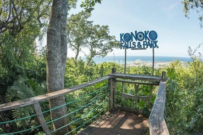 Eco Explorers Waterfall, Rainforest, local Shopping with lunch - Weather, comfort, and what to bring so the day feels easy