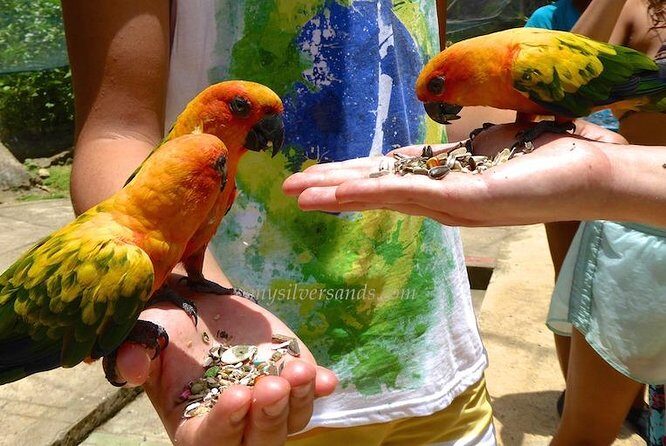 Eco Explorers Waterfall, Rainforest, local Shopping with lunch - Taj Mahal Shopping Center: souvenirs with samples, not just a quick glance