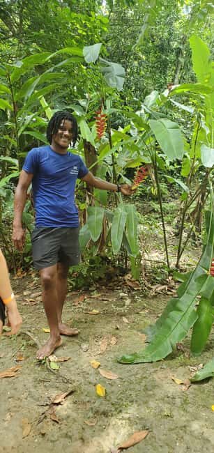 From Montego Bay: Blue Hole Waterfall Experience - Price and Value: Is $138 Worth It?