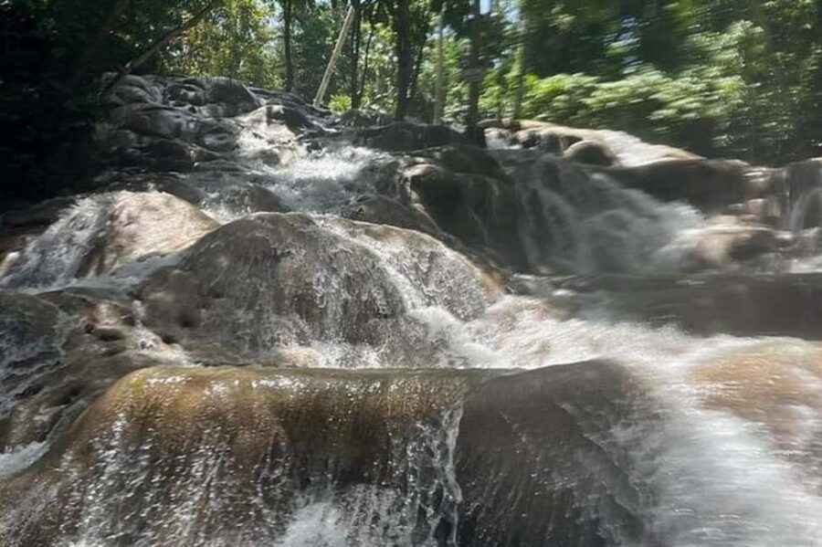 From Ocho Rios: Blue Hole & Dunn's River Falls Tour - Transportation and on-the-ground support: why the driver matters