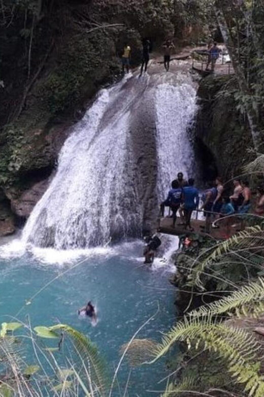 From Ocho Rios: Blue Hole & Dunn's River Falls Tour - Family fit and fitness reality check