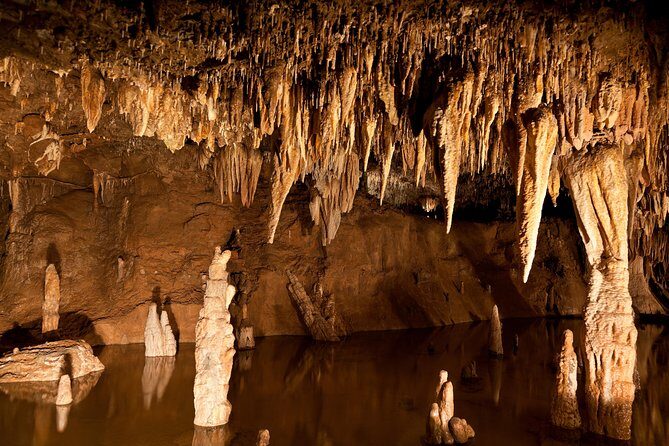 Green Grotto Caves Excursion from Ocho Rios - Green Grotto Caves at a Glance: What This Trip Really Delivers