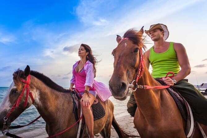 Horse Back riding Excursion - Mammee Bay by horse: what this 2.5-hour outing is really like