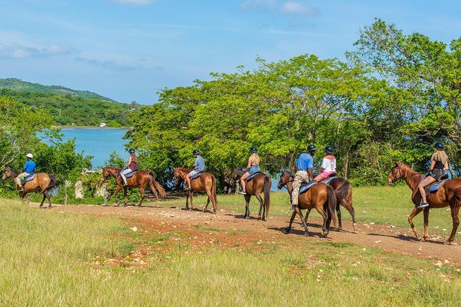 Horseback Ride and Swim from Ocho Rios - Horseback to the Caribbean: what this outing actually feels like