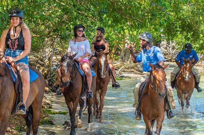 Horseback Ride and Swim from Ocho Rios - Safety and practical limits: the 230 lbs weight restriction