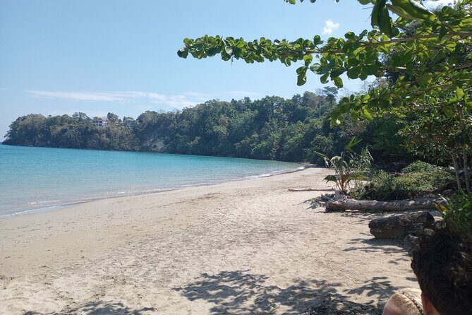 Horseback riding, Blue hole or Dunn's River Combo - A Short Marcus Garvey Birthplace Stop Adds Meaning