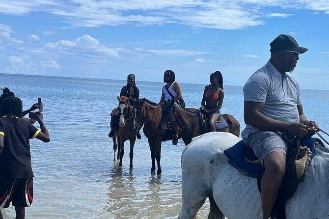 Horseback Riding in the Ocean from Ocho Rios & Runaway Bay - The Drive With Jamaica Stories: More Than Just a Transfer