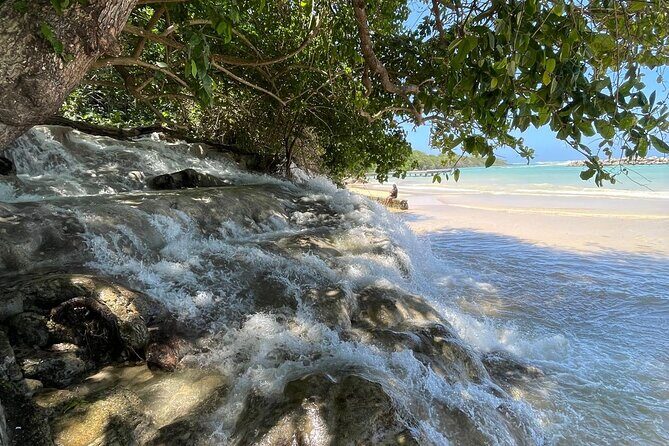 Horseback Riding/Swimming and Dunn's River from Ocho Rios - Should You Book the Horseback Riding and Dunn’s River Combo?