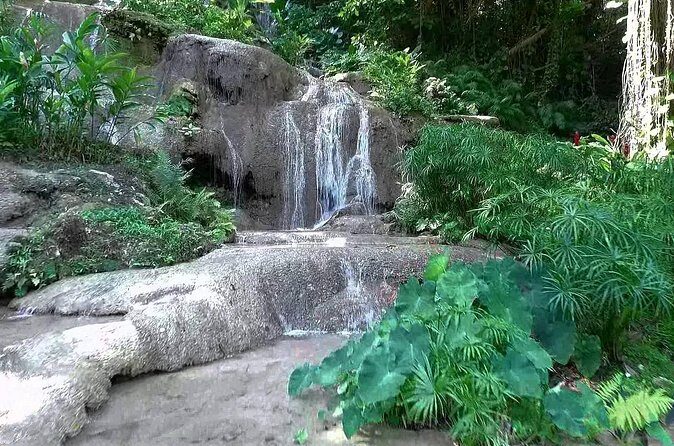 Konoko Falls and Tropical Garden Tour from Ocho Rios - Price and value: what $96.16 buys you (and what it doesn’t)