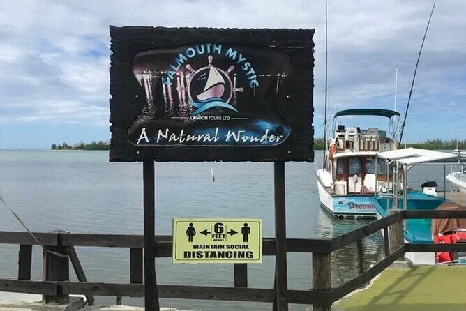 Luminous lagoon Dark night Tour from Ocho Rios and Runaway Bay Hotels - Why Jamaica’s Luminous Lagoon looks unreal when it’s dark enough