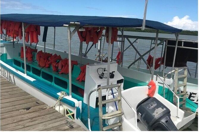 Luminous lagoon Dark night Tour from Ocho Rios and Runaway Bay Hotels - Price and value: is $79 really a fair deal?