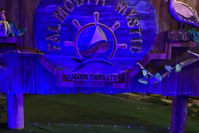 Luminous Lagoon Night Tour from Ocho Rios - Guide Commentary and On-Board Atmosphere