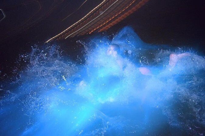 Luminous Lagoon Night Tour from Ocho Rios - Who This Luminous Lagoon Tour Is For (and Who Might Not Love It)