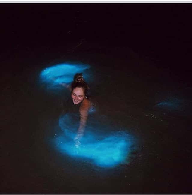 Luminous lagoon : Night Tour from Ocho Rios and Runaway Bay - Safety, comfort, and who should think twice