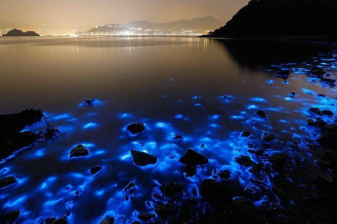 Luminous Lagoon Small Group Tour from Ocho Rios - Key points before you go