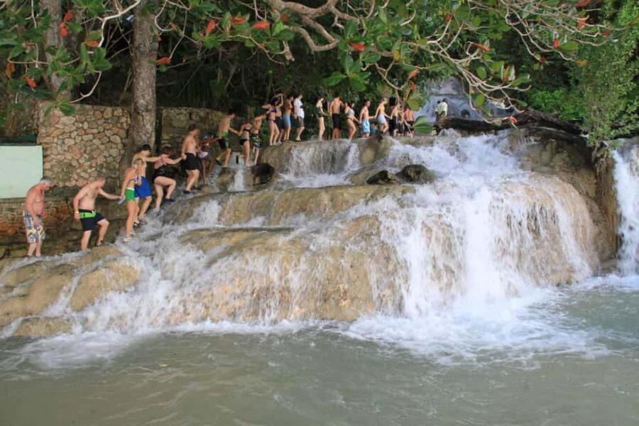Ocho Rios: Blue Hole, Dunn’s River & Reggae Hill Guided Tour - How the Group Pacing and Guides Can Make or Break It