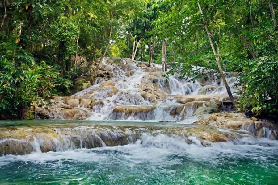 Ocho Rios: Dunn's River Falls and Shopping Tour - Getting picked up: cruise terminal and hotel transfers