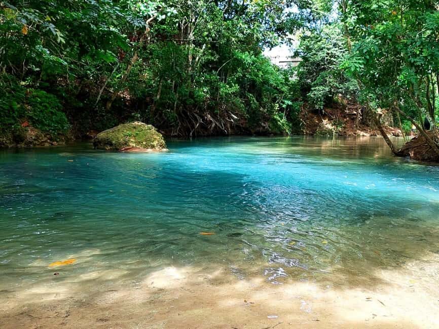 Ocho Rios: Dunn’s River Falls & Reggae Hill Tour - Price, souvenirs, and the credit-card gotcha at shops