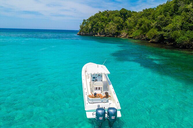 Ocho Rios Powerboat & Dunn’s River Falls Adventure - Who should book this tour (and who should pass)
