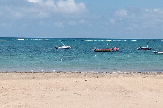 Ocho Rios Scenic Views, Culture and Adventure - Returning to Ocho Rios: Shopping, Lunch, and the Margaritaville Option