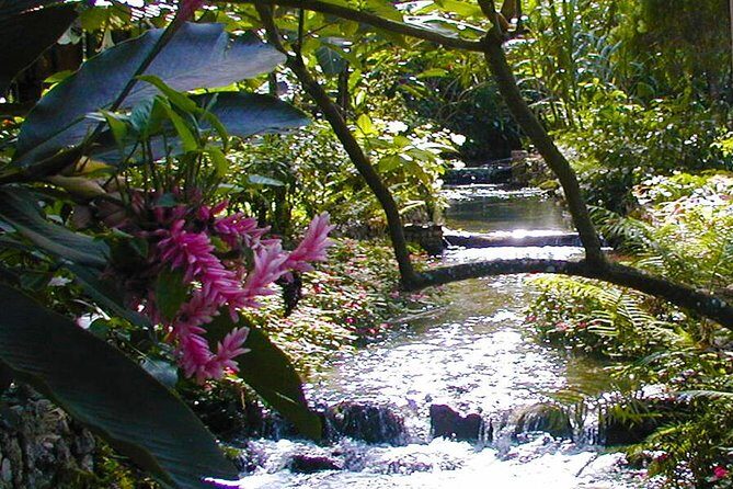 Private Combo Tour From Ocho Rios To Blue Hole & Konoko Falls - The Private Transport Advantage: Less Waiting, More Time in the Water