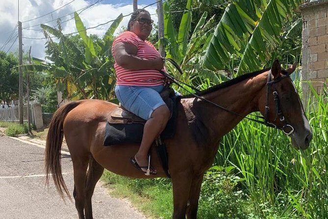 Private Horseback Riding from Ocho Rios with Guide - Getting There from Cruise Port or Your Hotel: How Pickup Works in Real Life