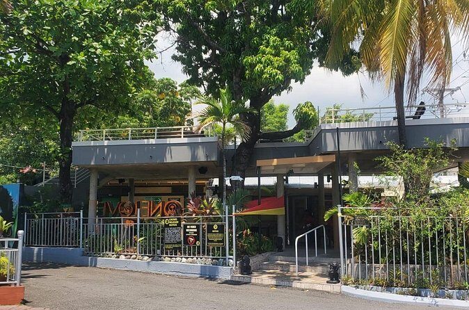 Private Kingston and Bob Marley Museum Tour from Ocho Rios - Who should book this tour, and who might prefer a different plan