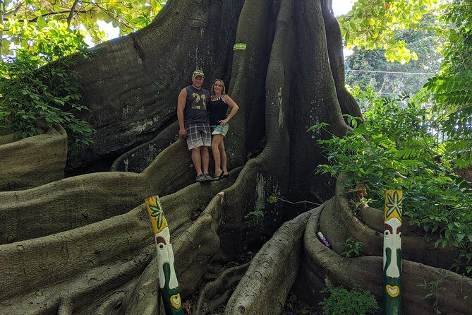 Private Ocho Rios highlight tour - What’s Included, What’s Not, and What That Means for Your Budget