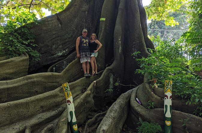 Private Ocho Rios highlight tour - Who This Tour Is Best For (and Who Might Want Something Else)