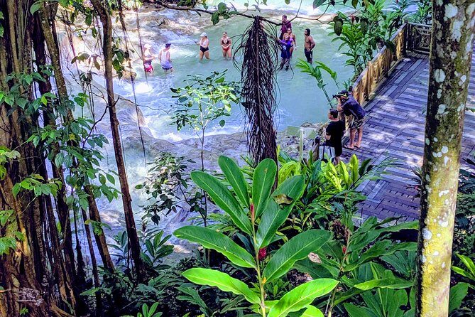 Private Ocho Rios highlight tour - Fern Gully: A 30-Minute Rainforest Break With Free Admission